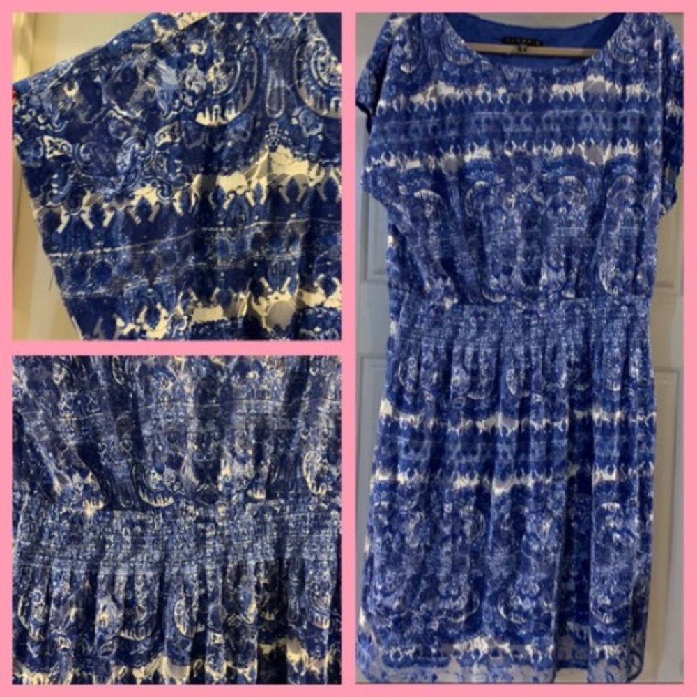 Woman’s size 16 blue and white dress